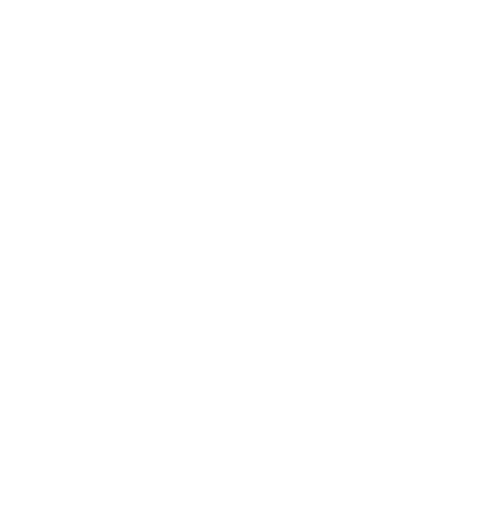 SLAI Logo