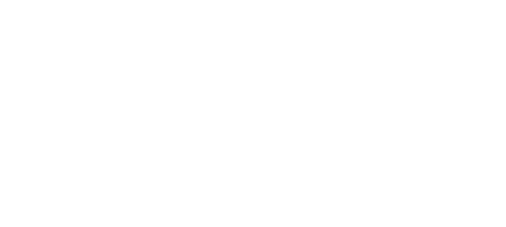 SLAI Logo