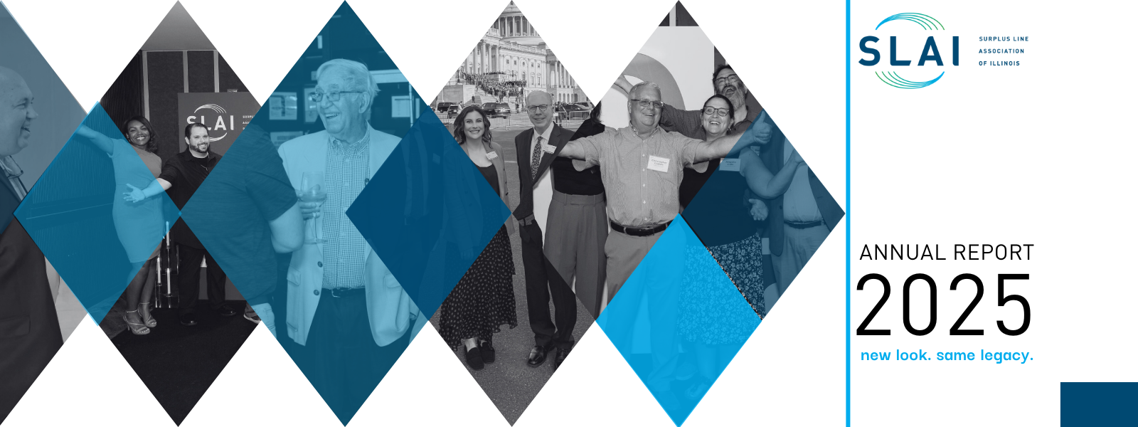 Annual Report Banner